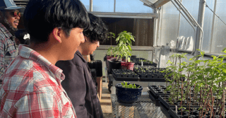 11-Apr-17-2025-03-47-31-6511-PM