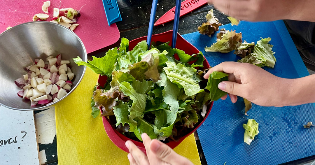 9-Apr-17-2025-03-47-31-6700-PM